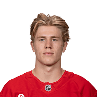 Michael Brandsegg-Nygård