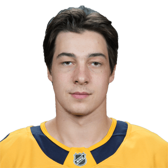 Aiden Fink