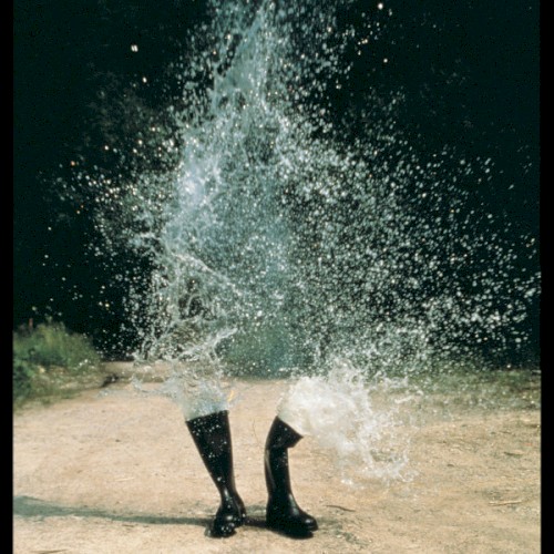 Gastr del Sol - Upgrade & Afterlife